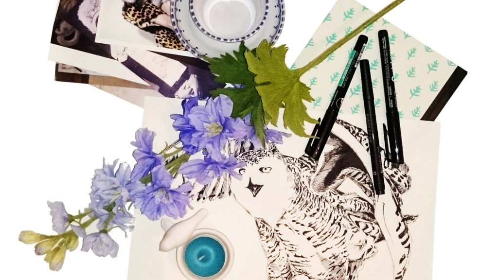 Ruiten Boerin raamillustraties front page header image