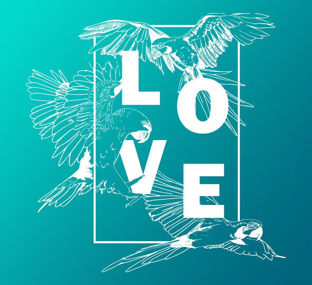3 papegaaien rondom de letters LOVE
