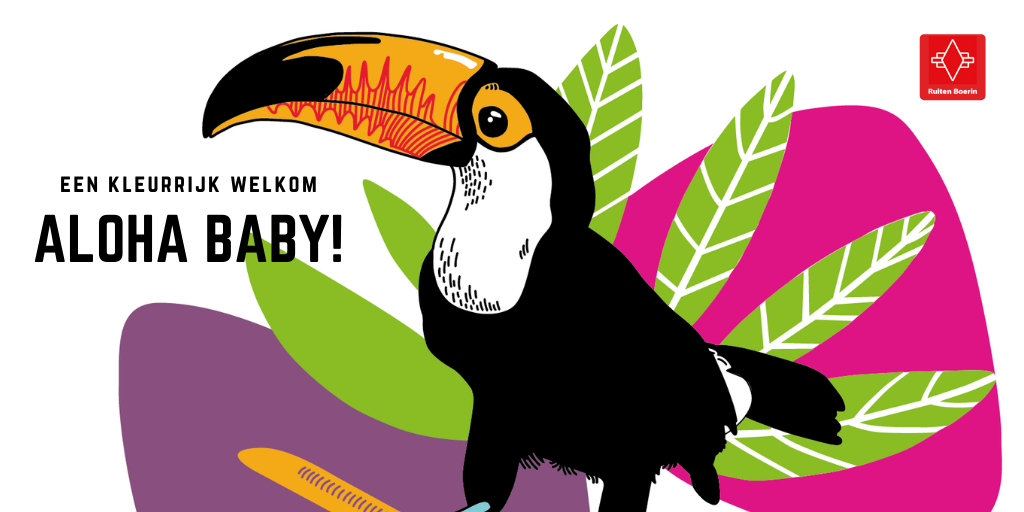 kleurrijke toekan illustratie met tekst: een kleurrijk welkom. Aloha baby!