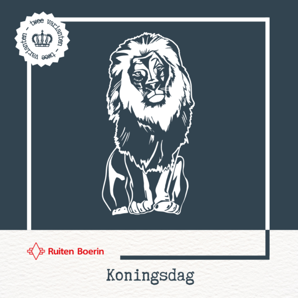 Koningsdag - Afbeelding 2