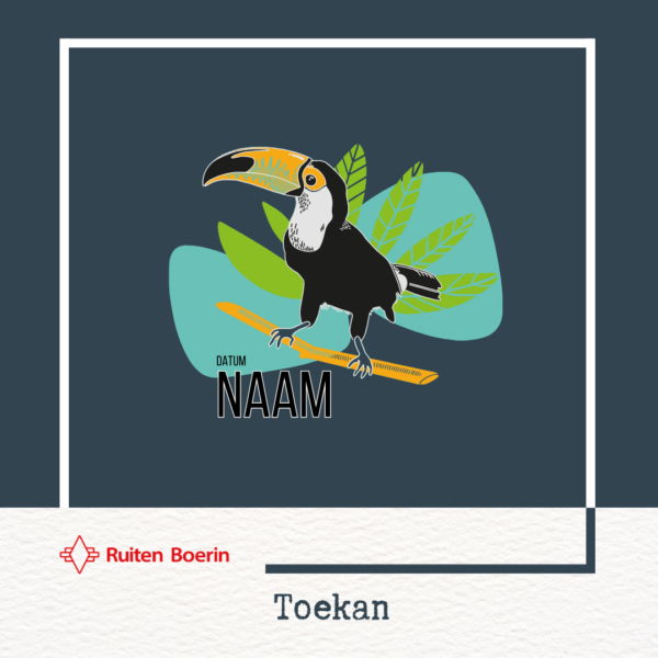 Geboorte raamtekening DIY - TOEKAN